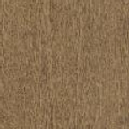 ДЯН Дуб янтарный